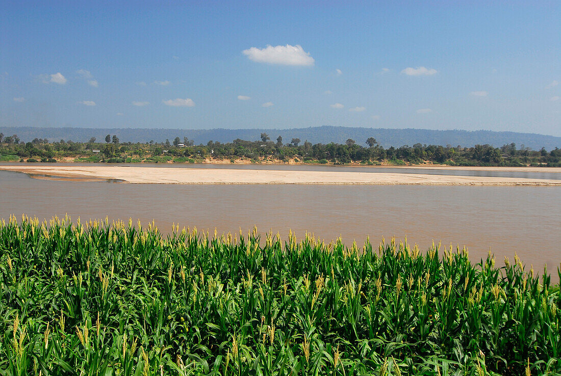Blick über den Mekong nach Laos, Sangkhom, Provinz Nong Khai, Thailand, Asien