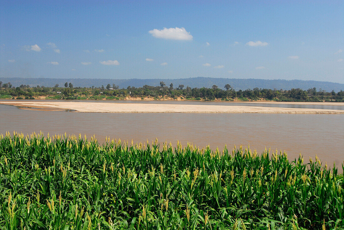 Blick über den Mekong nach Laos, Sangkhom, Provinz Nong Khai, Thailand, Asien