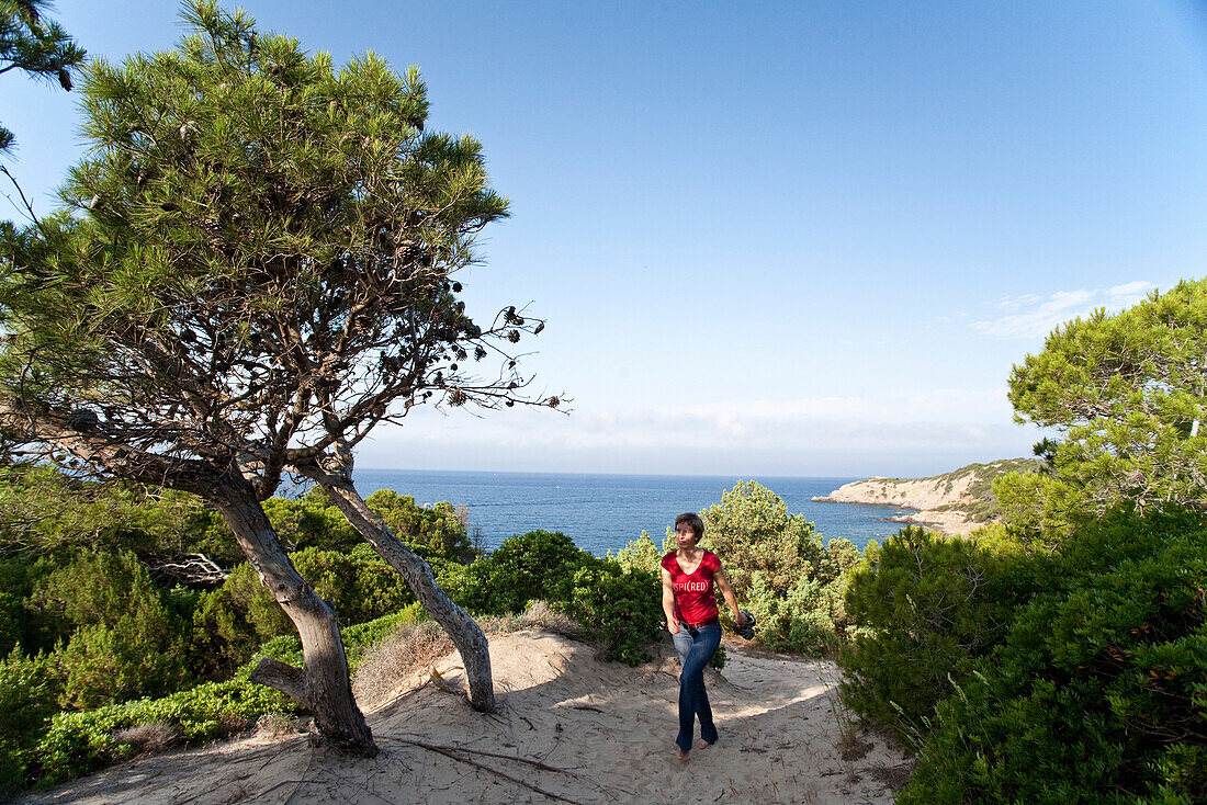 Blick über das Meer, Frau im Schatten von Pinien, Porto Pino, Sardinien, Italien, Europa
