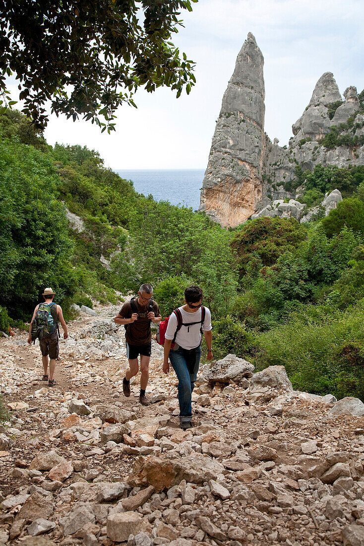 Three hikers on a stony hiking trail, Punta Goloritzé, Golfo di Orosei, Sardinia, Italy, Europe