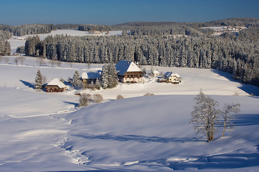View at Unterfallengrundhof (farmhouse) close to Gütenbach on a Winter's day, Near Furtwangen, Black Forest, Baden-Württemberg, Germany, Europe