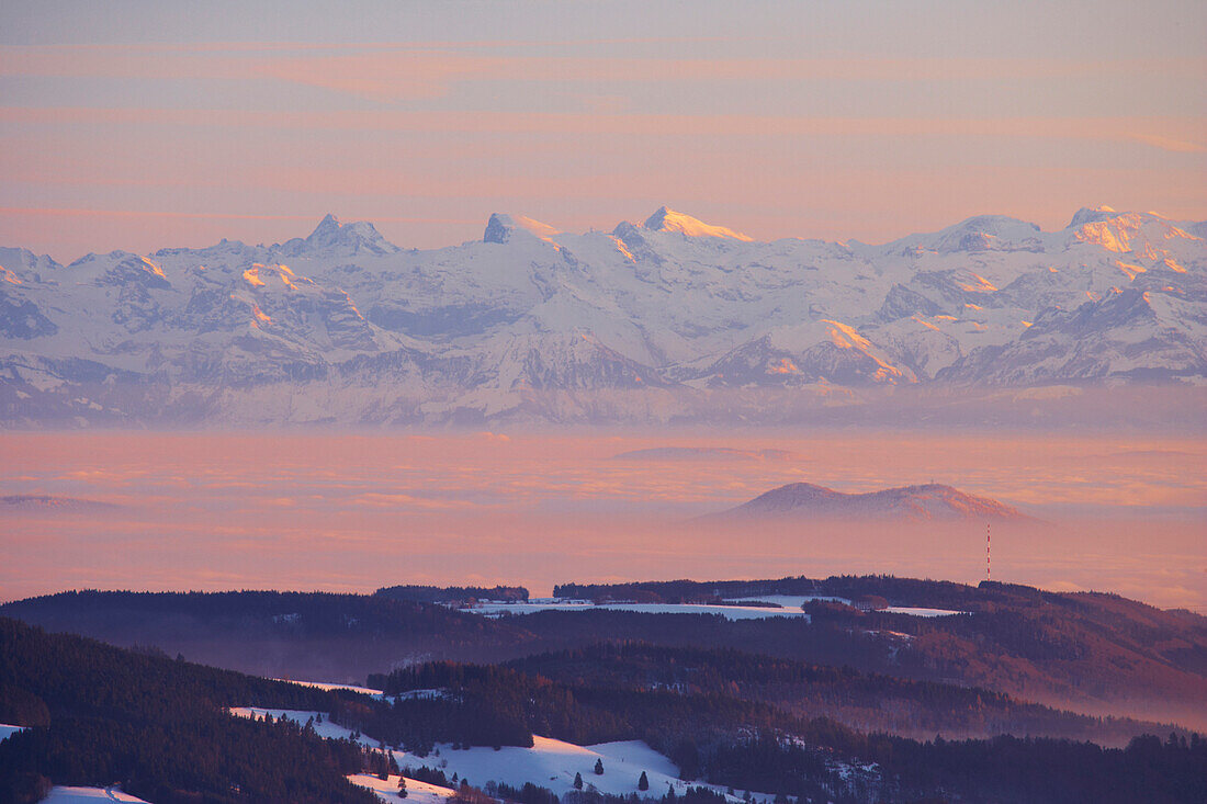 Winter's evening on the mountain Belchen, Swiss Alps, Black Forest, Baden-Württemberg, Germany, Europe