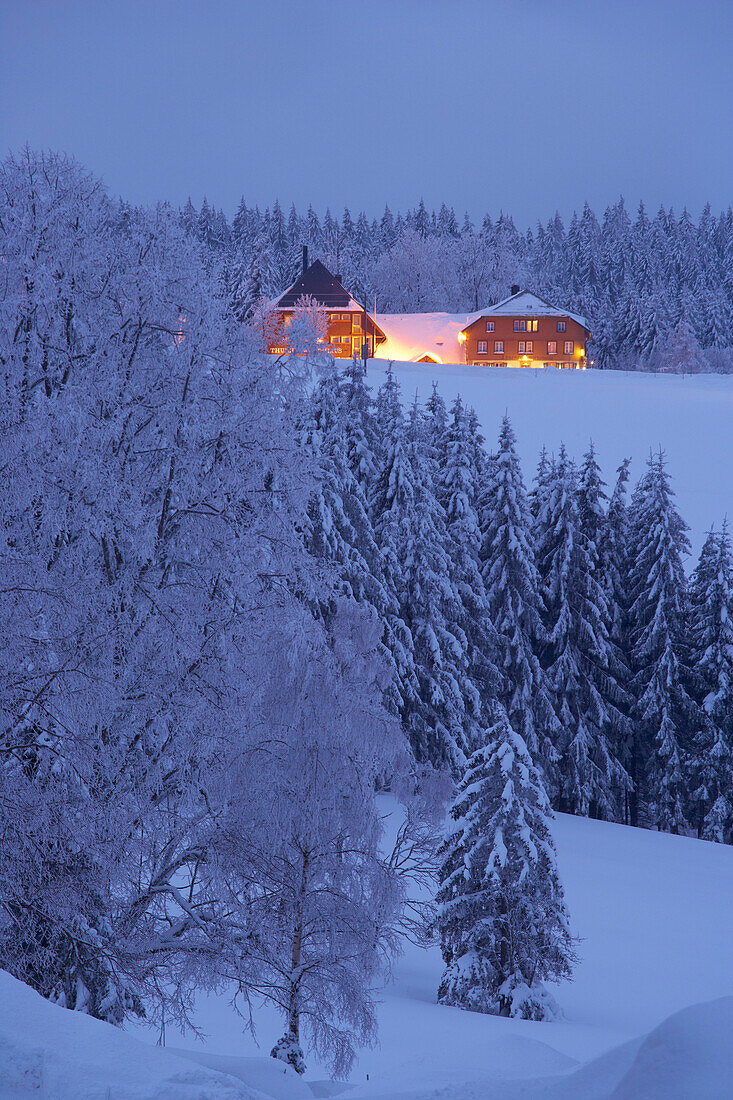 Winter's evening, View at the Thurner Wirtshaus ( Pub), Black Forest, Baden-Württemberg, Germany, Europe