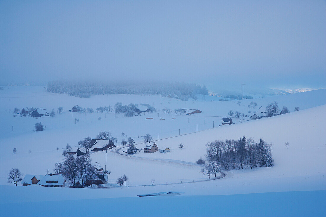 Nebeliger Wintermorgen in Breitnau, Schwarzwald, Baden-Württemberg, Deutschland, Europa
