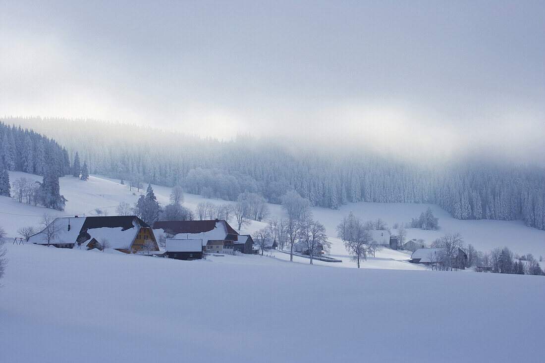 Nebeliger Wintermorgen in Breitnau-Fahrenberg, Schwarzwald, Baden-Württemberg, Deutschland, Europa