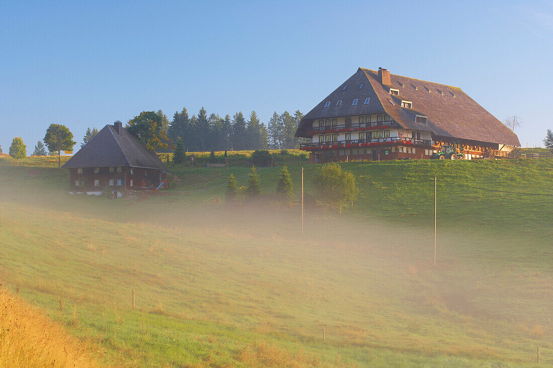 Morgen im Oberen Jostal, Frühnebel, Sommer, Schwarzwald, Baden-Württemberg, Deutschland, Europa