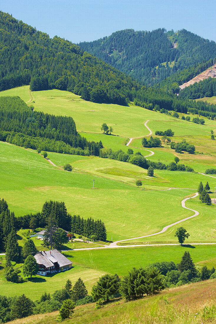 View at Bernau - Innerlehen, Summer, Black Forest, Baden-Württemberg, Germany, Europe