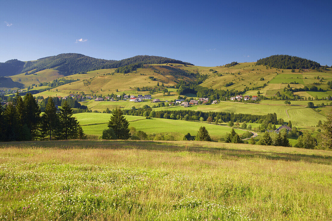 View over Bernau, Black Forest, Baden-Wuerttemberg, Germany