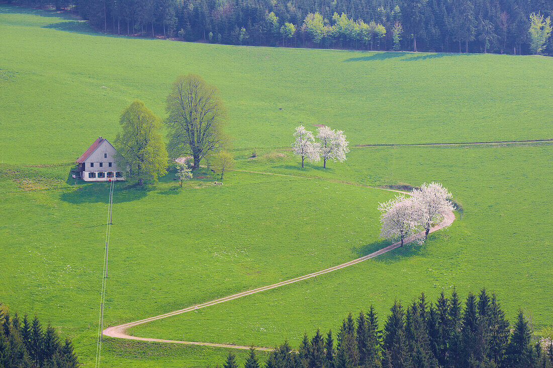 Frühlingstag bei St. Märgen, Schwarzwald, Baden-Württemberg, Deutschland, Europa