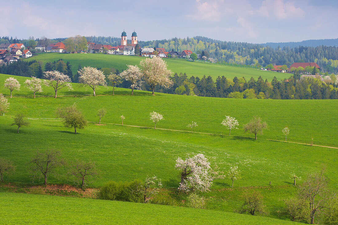 St. Märgen an Frühlingstag, Schwarzwald, Baden-Württemberg, Deutschland, Europa