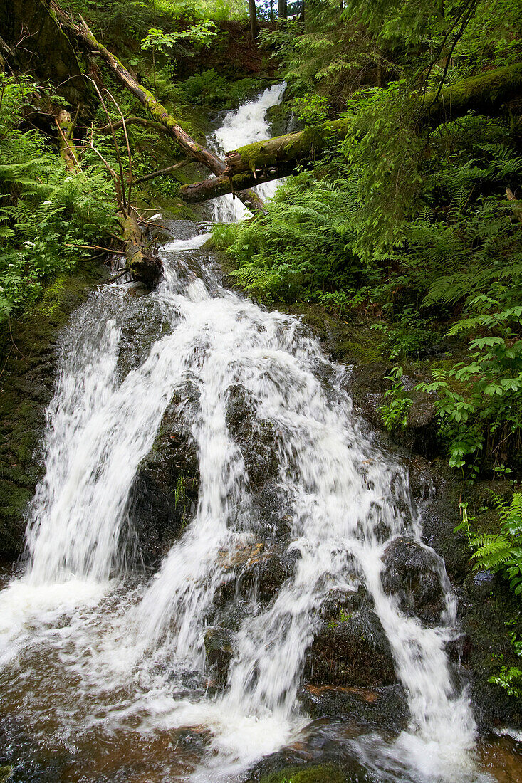 Rüttebach, Wasserfälle bei Todtmoos, Sommer, Schwarzwald, Baden-Württemberg, Deutschland, Europa