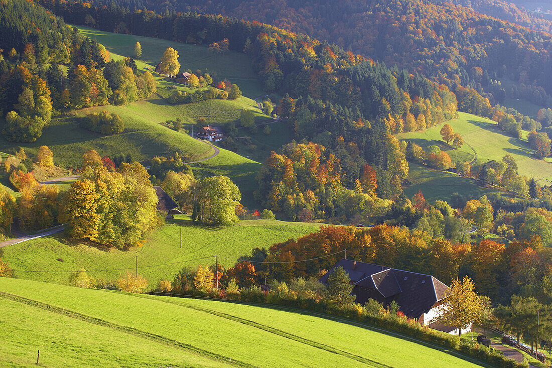 Herbstfärbung bei St. Ulrich, Bauernhaus, Markgräflerland, Schwarzwald, Baden-Württemberg, Deutschland, Europa