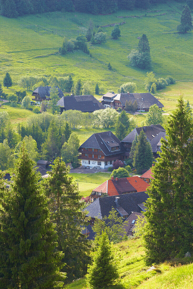 Bauernhof in Menzenschwand im Albtal, Sommertag, Schwarzwald, Baden-Württemberg, Deutschland, Europa