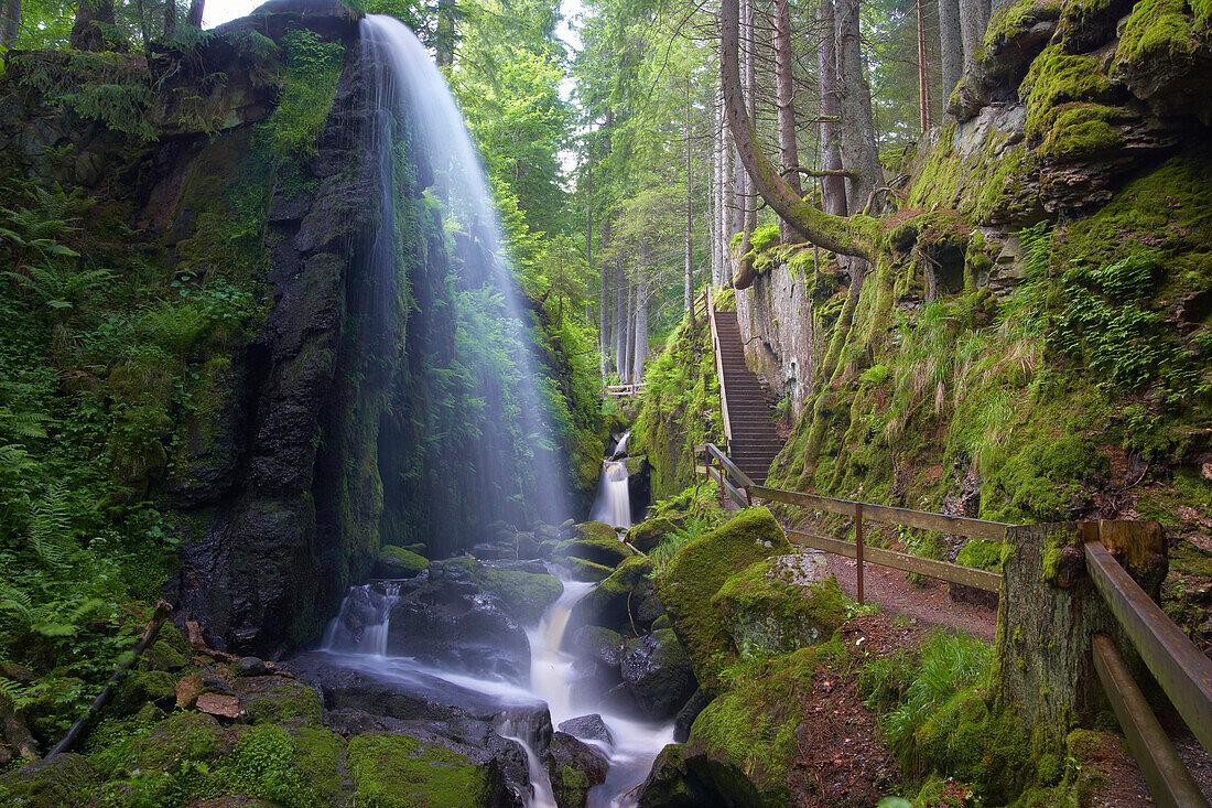 Wasserfall der Alb, Menzenschwand im Albtal, Sommertag, Schwarzwald, Baden-Württemberg, Deutschland, Europa