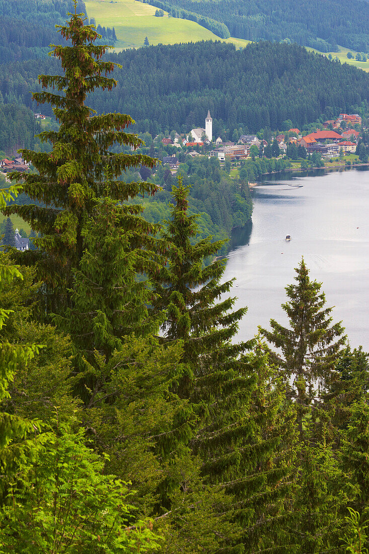 Blick auf Titisee-Neustadt am Titisee, Sommertag, Schwarzwald, Baden-Württemberg, Deutschland, Europa