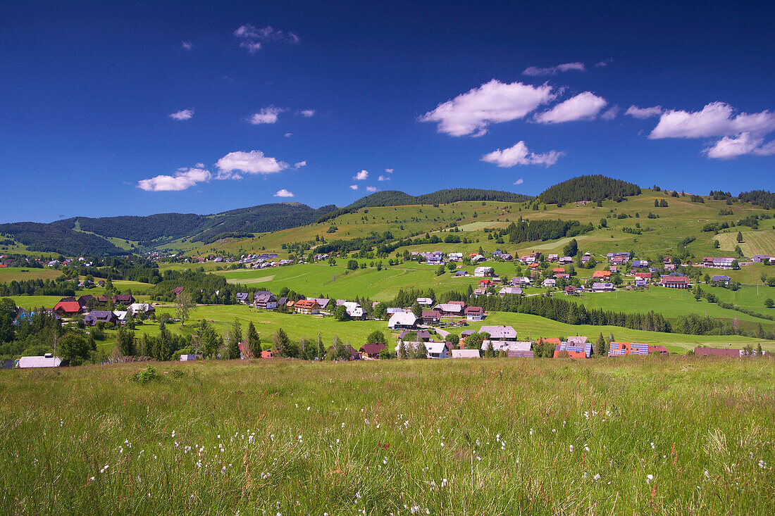 Blick auf Bernau, Sommertag, Schwarzwald, Baden-Württemberg, Deutschland, Europa
