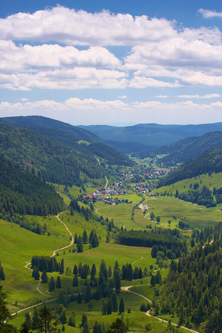 View at Menzenschwand in valley of the river Alb, Summer day, Black Forest, Baden-Württemberg, Germany, Europe