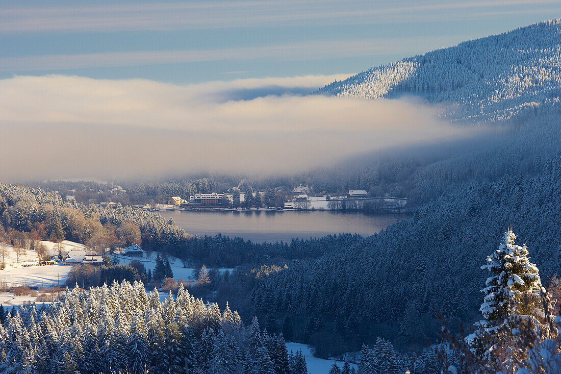 Blick auf Titisee von Feldberg-Bärental aus an Wintermorgen, Schwarzwald, Baden-Württemberg, Deutschland, Europa