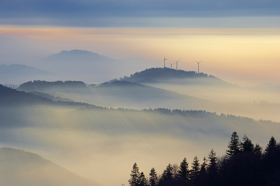 Winterabend auf dem Kandel, Inversionslage, Nebel, Roßkopf mit Windrädern, Schwarzwald, Baden-Württemberg, Deutschland, Europa