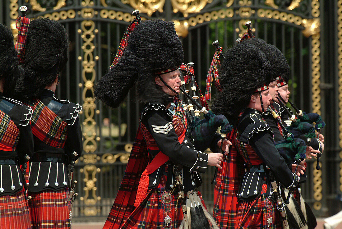 Scots Guards Pipers at Buckingham Palace, London, UK, England