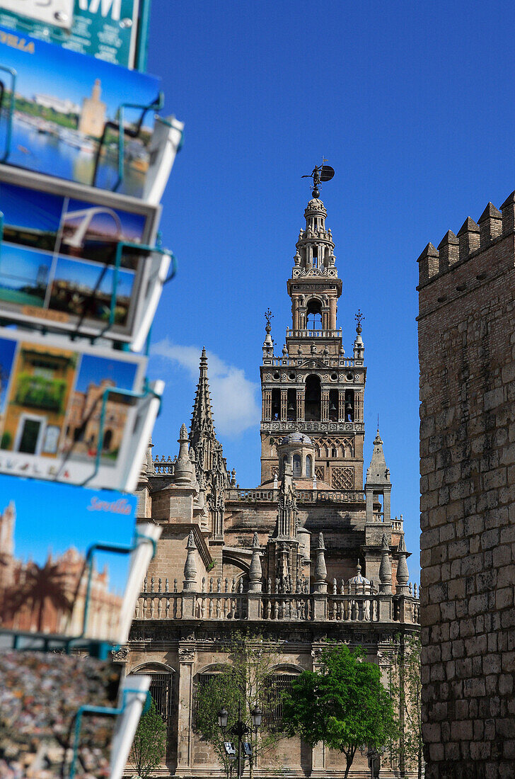 View of Cathedral with postcard rack in foreground, Seville, Andalucia, Spain