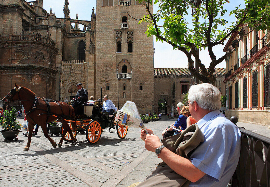 Plaza Virgen de los Reyes, horse and carriage, Seville, Andalucia, Spain