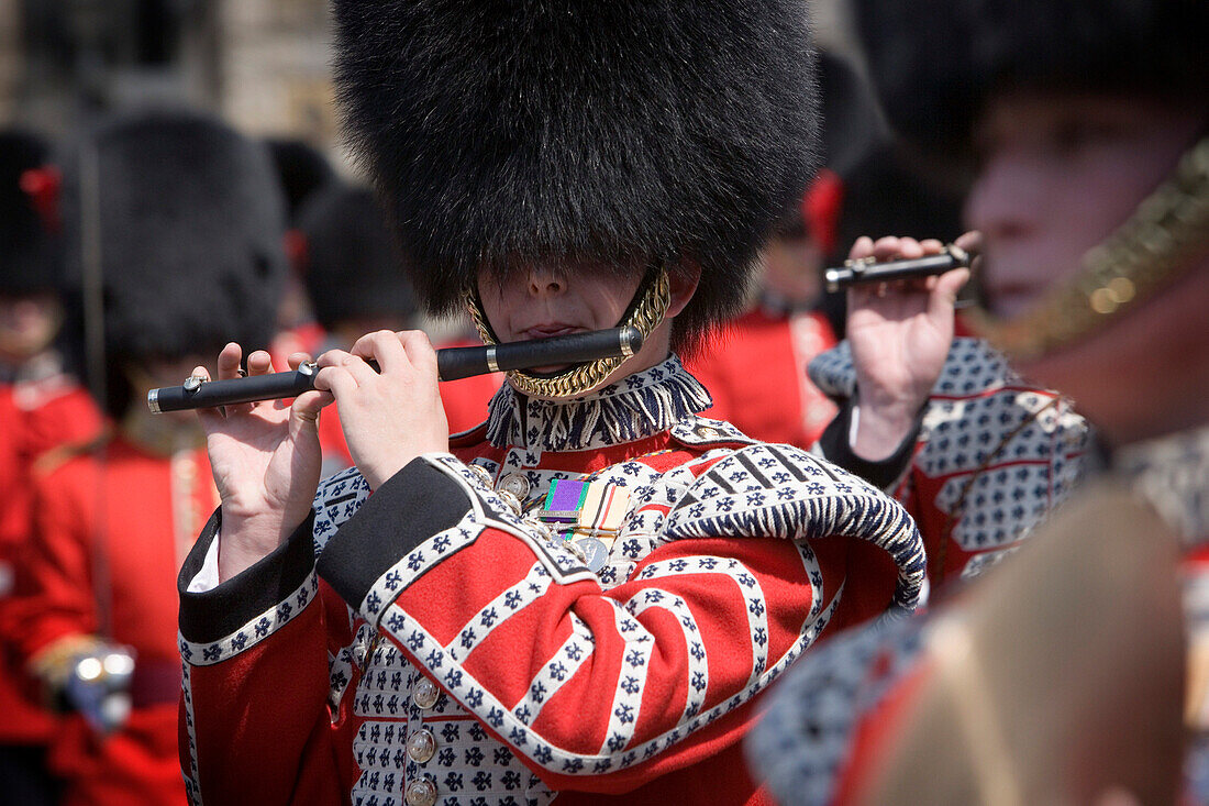 Changing the Guard at Windsor Castle, close up of musician, Windsor, Berkshire, UK, England