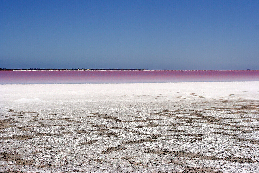 View of pastel lake near Esperance, Pink Lake, Western Australia, Australia
