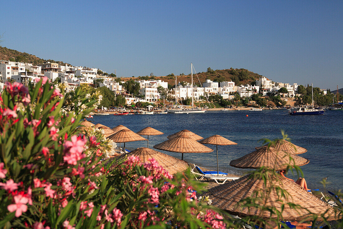 View of town over beach with sunshades and flowers, Bodrum, Aegean, Turkey