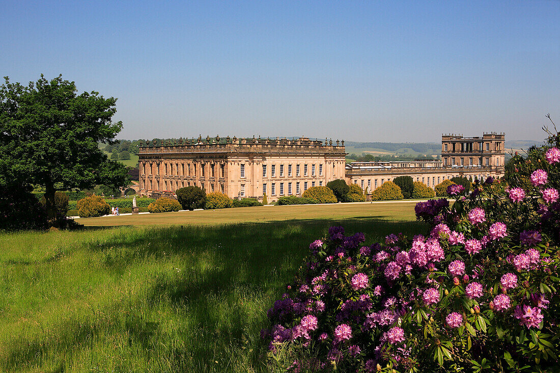 View to Chatsworth House with rhododendrons, Chatsworth House, Derbyshire, UK, England