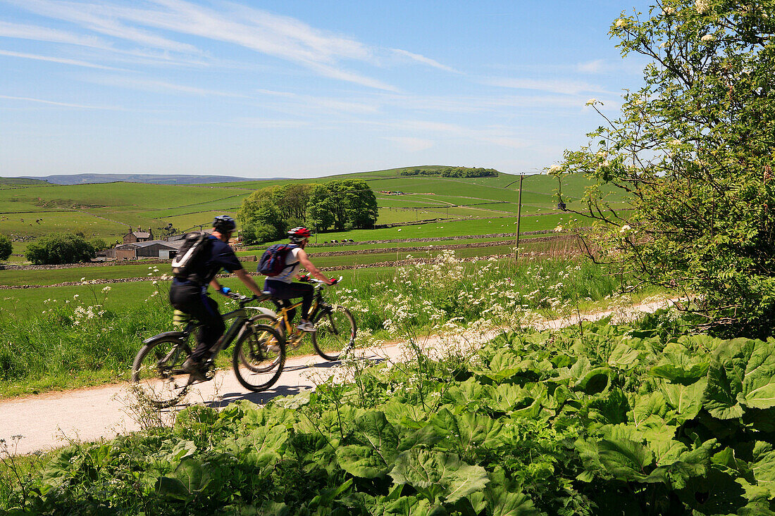 Cyclists on the Tissington Trail, Hartington, Derbyshire, UK, England