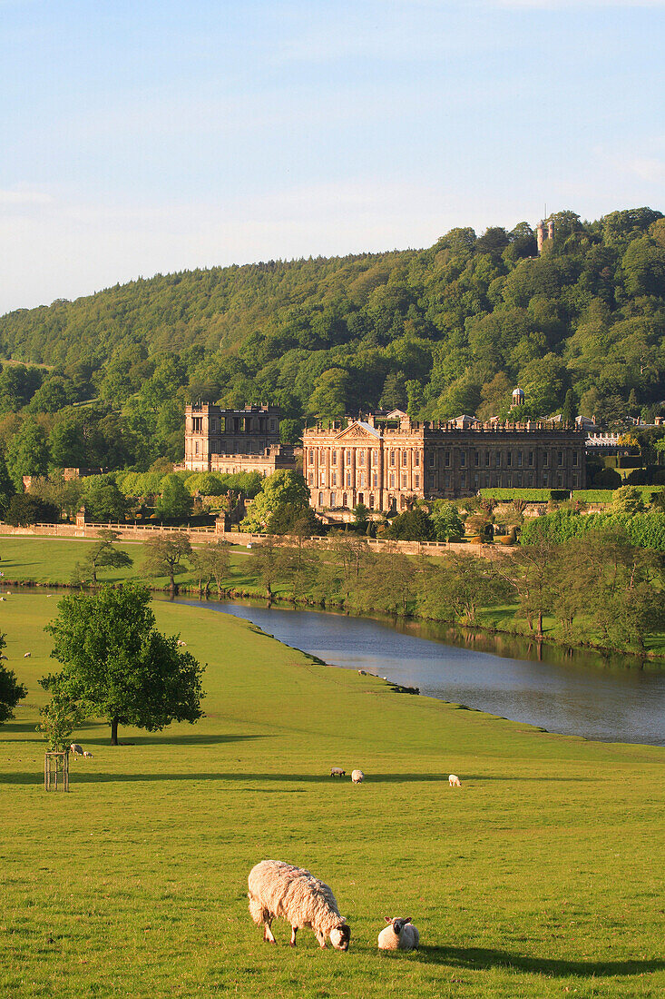 View to Chatsworth House over parkland, Chatsworth House, Derbyshire, UK, England