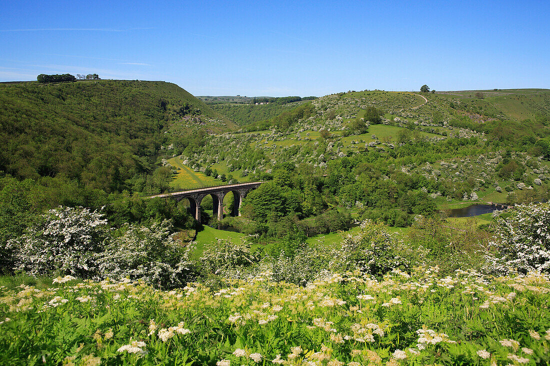 Viaduct from Monsal Head, Monsal Dale, Derbyshire, UK, England