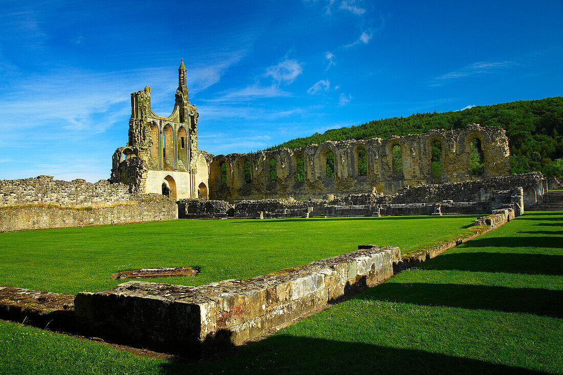 Byland Abbey, Wass, near, Yorkshire, UK, England