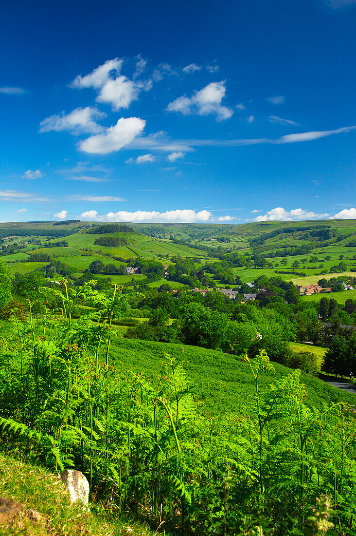 View over Rosedale from Rosedale Chimneys, Rosedale, Yorkshire, UK, England