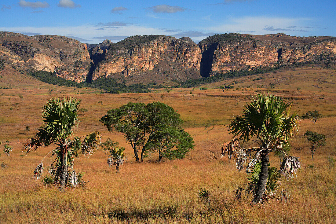 View across grassland to rocks, Isalo National Park, Madagascar
