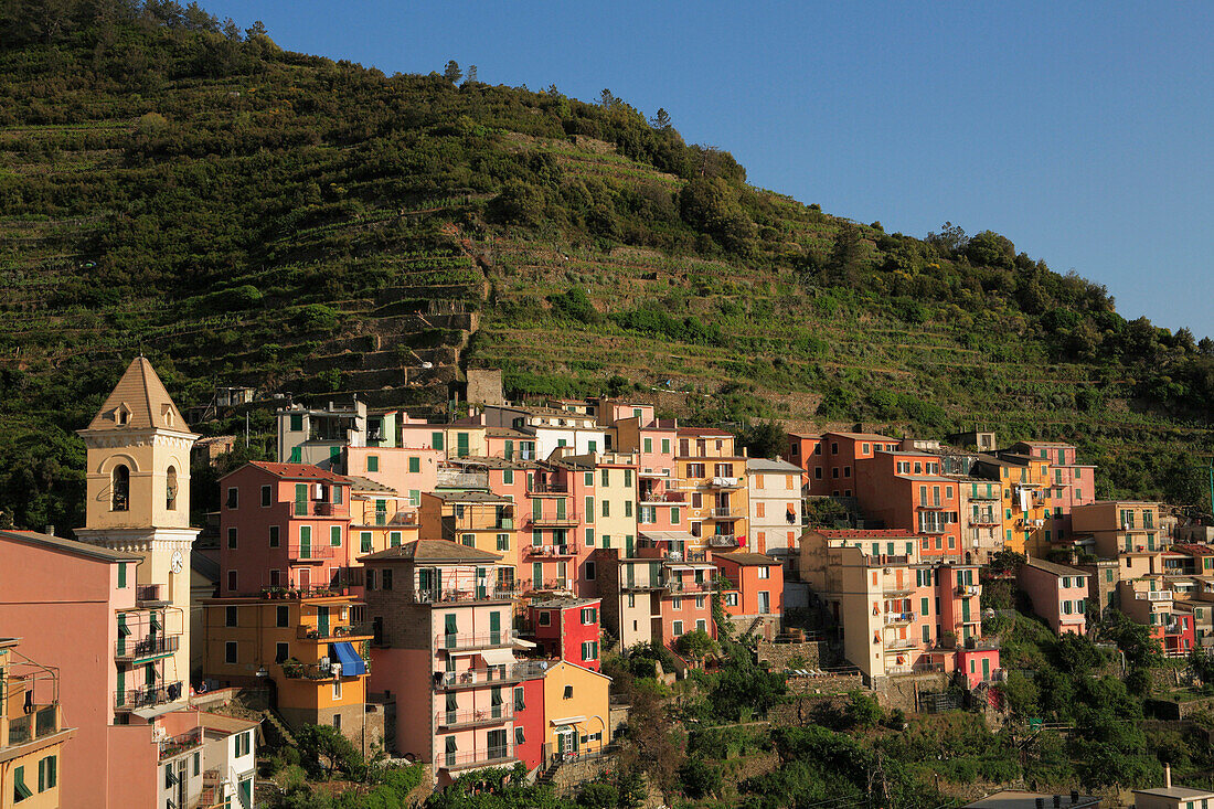 View of village, Manarola, Liguria, Italy