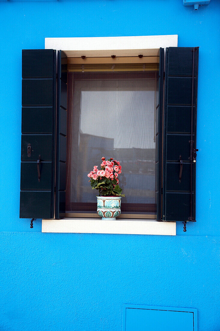 Shuttered window with flowers in the Piazza di Galuppi, Venice, Burano, Veneto, Italy