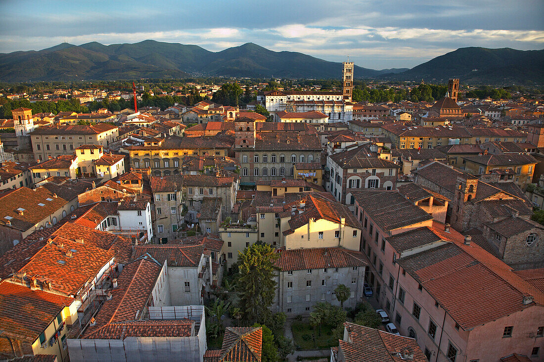 View south across the city at sunset from the Tower Guinigi, Lucca, Tuscany, Italy