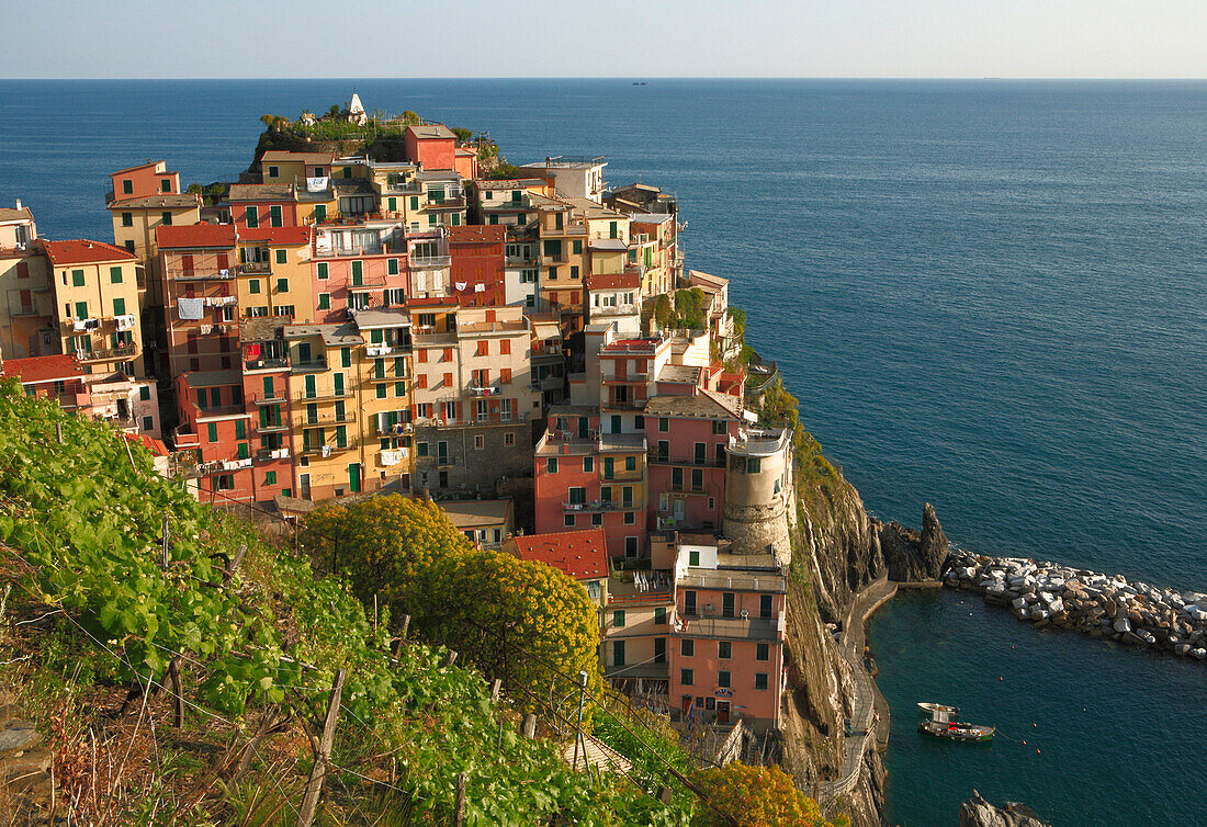 View of village and harbour, Manarola, Liguria, Italy