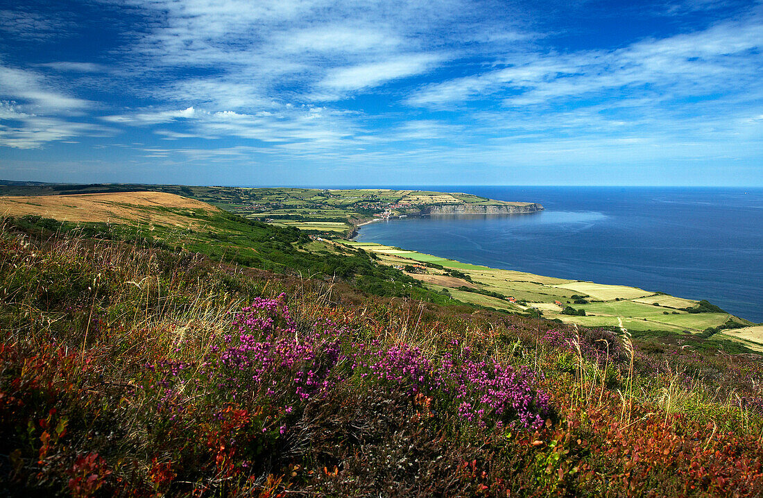 Coastal scenery from Ravenscar, Robin Hoods Bay, Yorkshire, UK, England