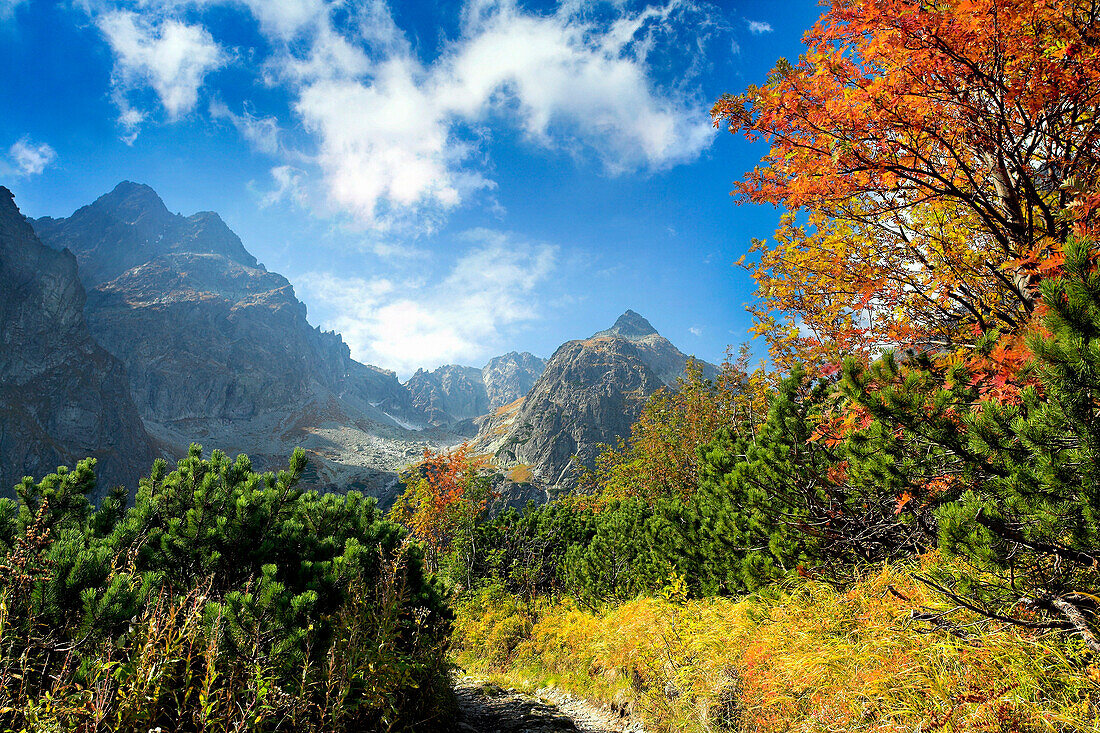 Valley and mountains in autumn, Tatra Mountains, Kiezmarska Valley, Slovakia