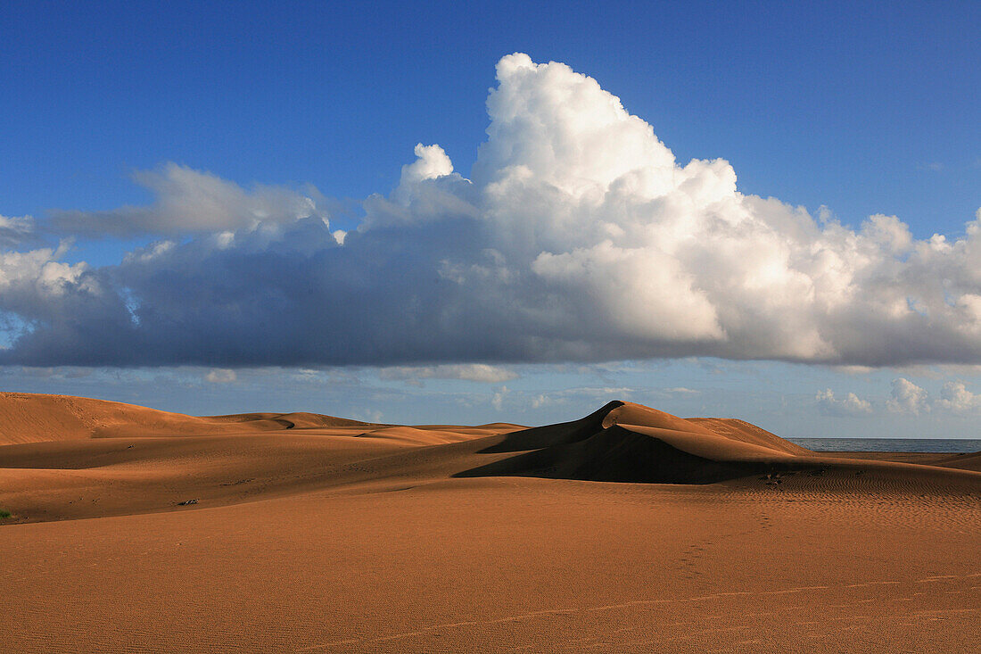 Sand dunes, Maspalomas, Gran Canaria, Canary Islands