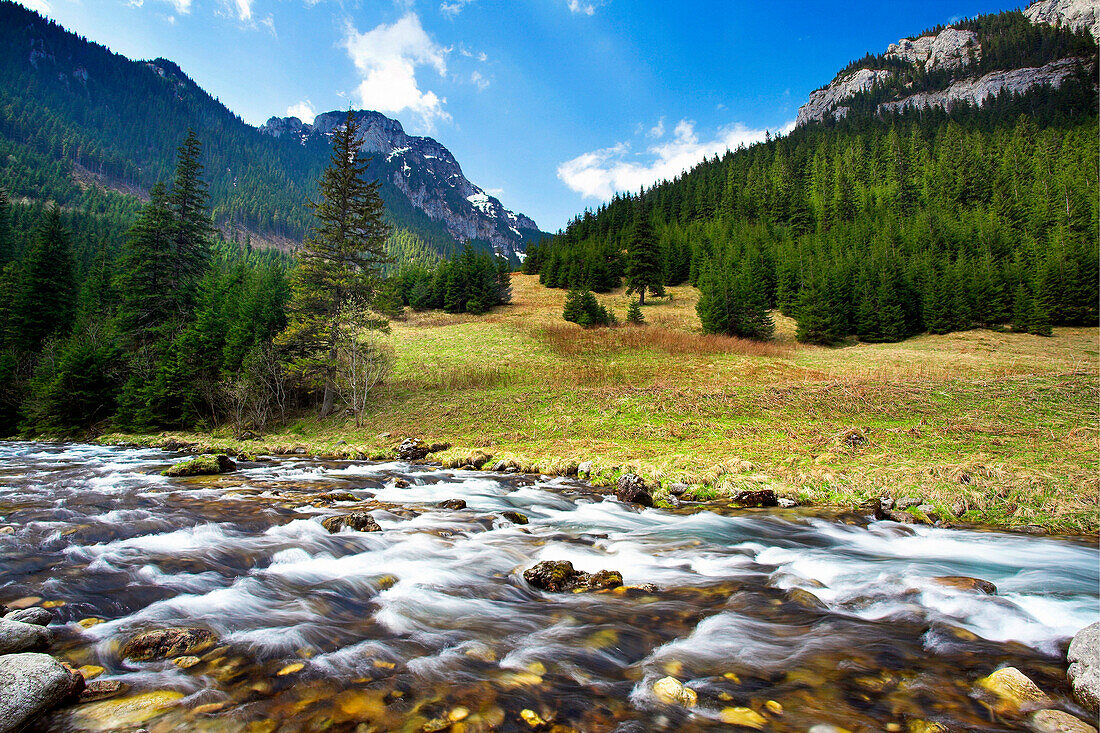 Scenery with rushing mountain stream, Tatra Mountains, Poland