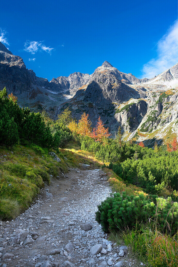 Path through valley, Tatra Mountains, Kiezmarska Valley, Slovakia