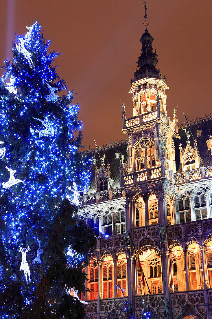 Grand-Place, Christmas tree and architecture, Brussels, Flanders, Belgium