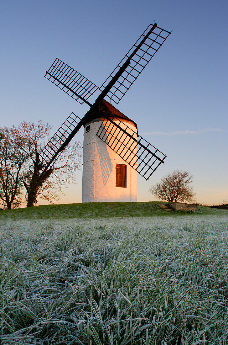 Ashton Windmill at sunrise in winter, Axbridge, Somerset, UK, England