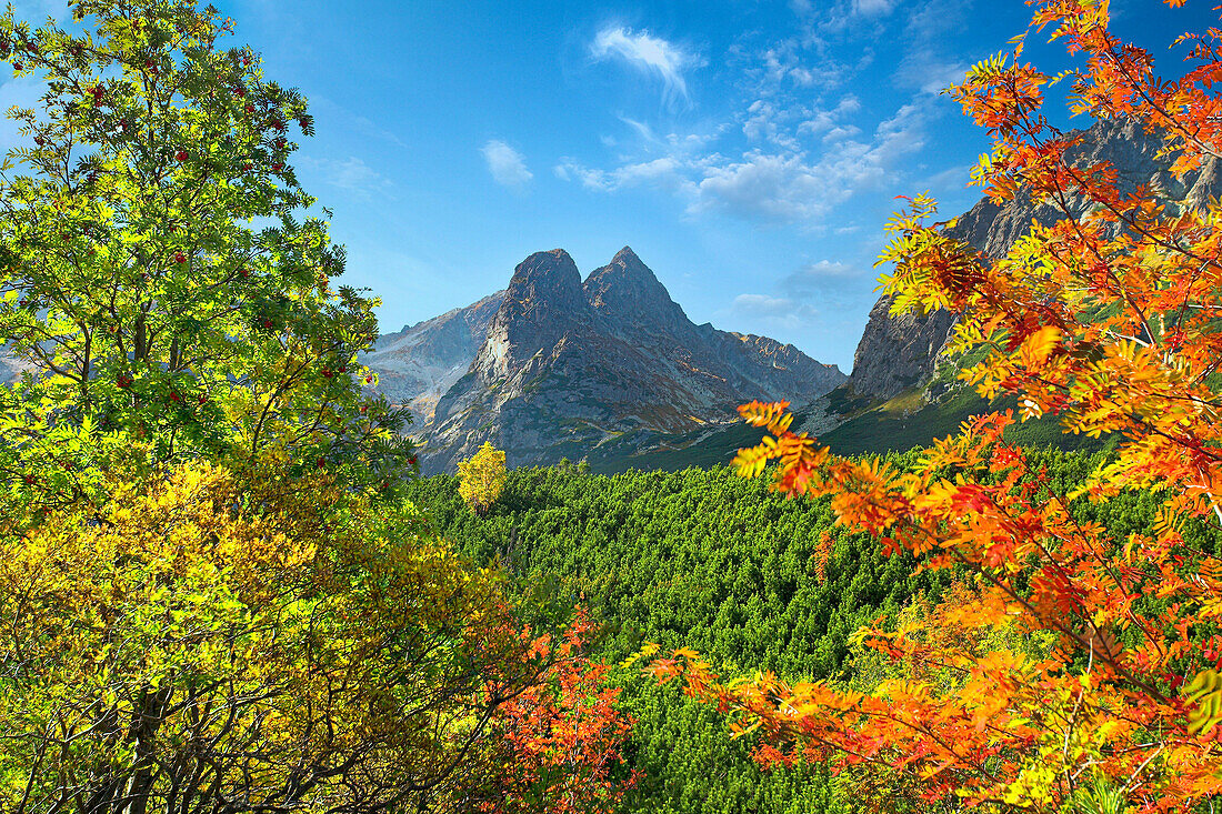 Kiezmarska Valley in autumn, Tatra Mountains, Slovakia