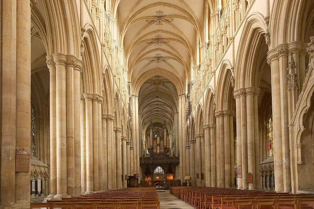 Beverley Minster, interior, Beverley, Yorkshire, UK, England