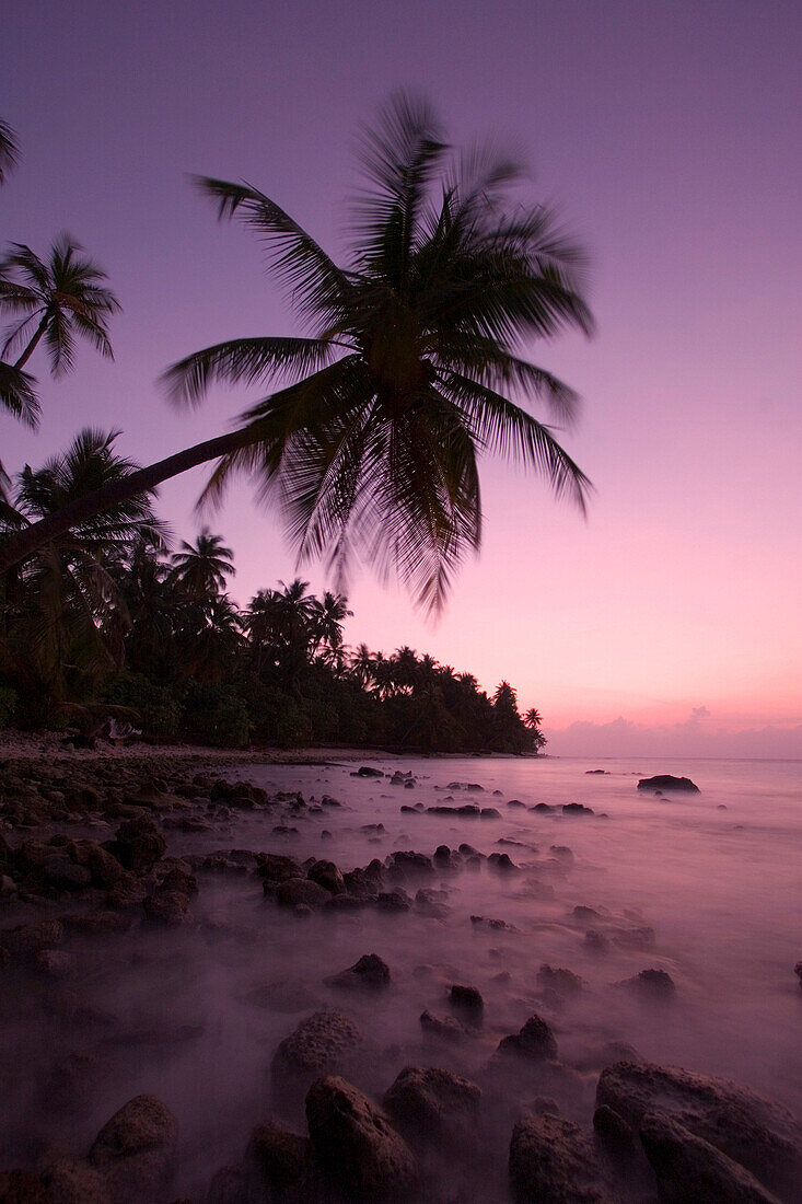 Palm fringed beach at sunset, General, The Maldives